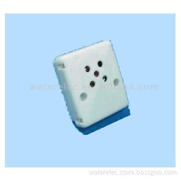 Voice Module